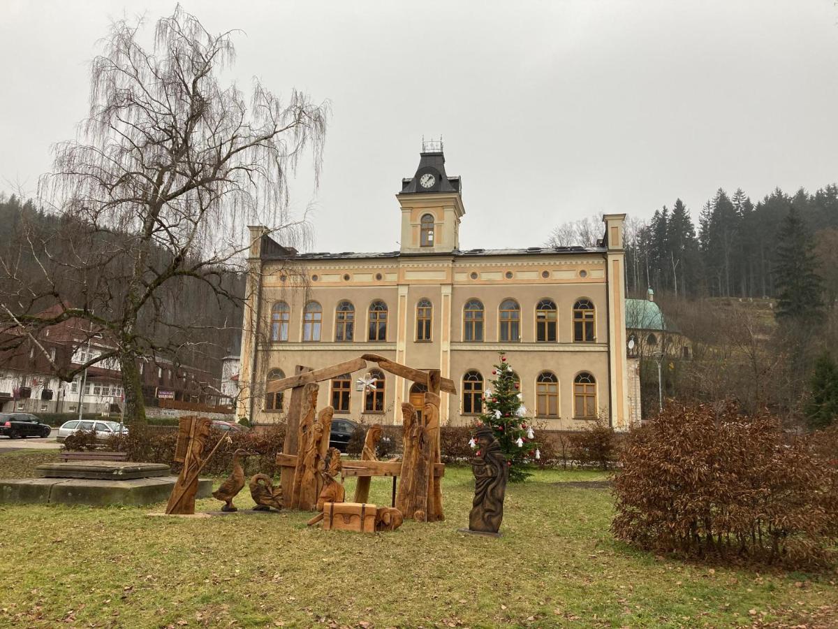 Apartmán Hopi Hopi Svoboda nad Úpou Exterior foto