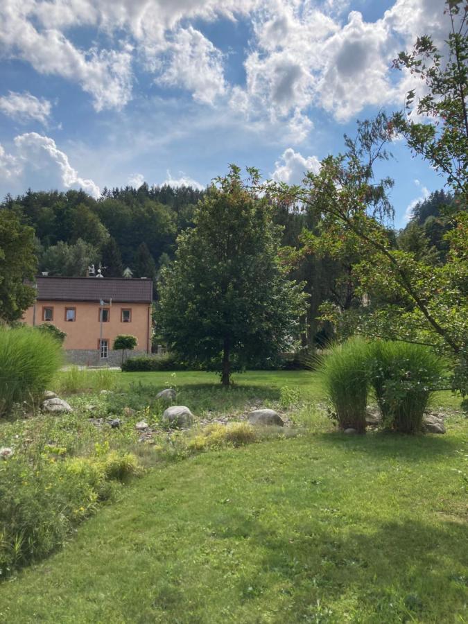 Apartmán Hopi Hopi Svoboda nad Úpou Exterior foto