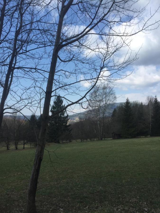 Apartmán Hopi Hopi Svoboda nad Úpou Exterior foto